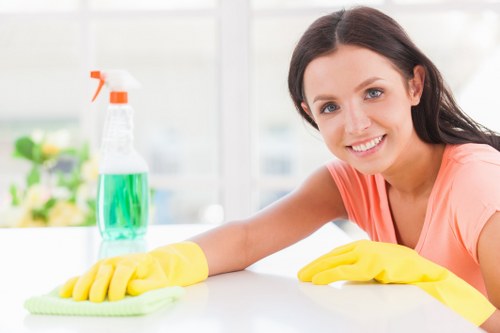 Move out cleaning in an empty living room