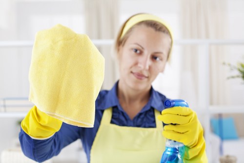 Professional upholstery cleaning of a living room sofa
