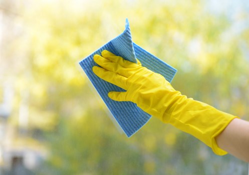 Professional carpet cleaning in a bright living room