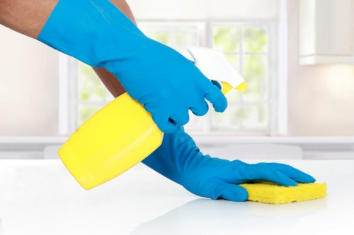 Bathroom surfaces cleaned and refreshed during house cleaning