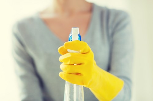 Eco-friendly carpet cleaning process for home flooring