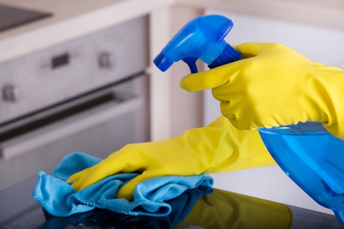 Expert sofa cleaning and upholstery maintenance tools