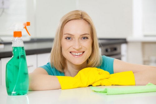 Deep cleaning tools arranged for a home cleaning session