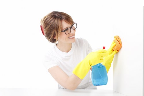Bathroom deep clean as part of end of tenancy cleaning in Tooting